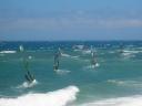 surf