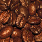 Coffee Plantation in Agaete